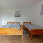 Apartma Bor *