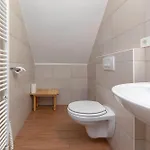 Bor