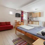 Bor Bohinj