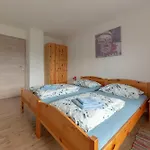 Apartma Bor *