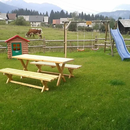 Bor Bohinj