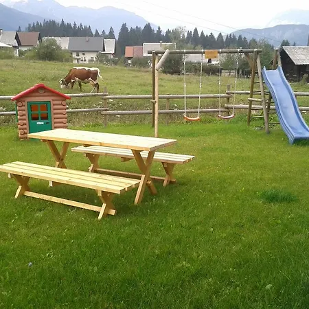 Bor Bohinji-tó