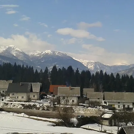 Apartman Bor *